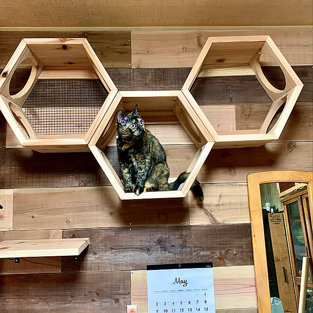 icchiiiさんの実例写真