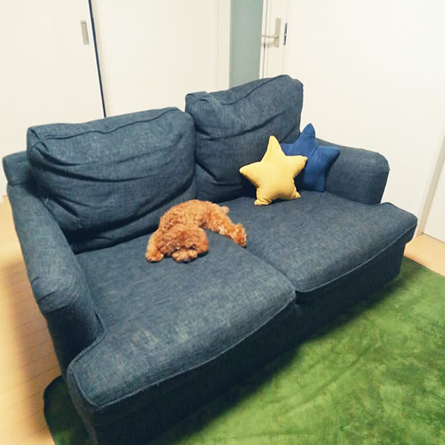 akiasaさんの実例写真