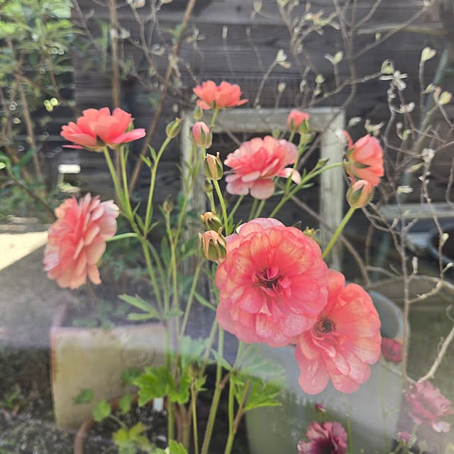 min_nimさんの部屋