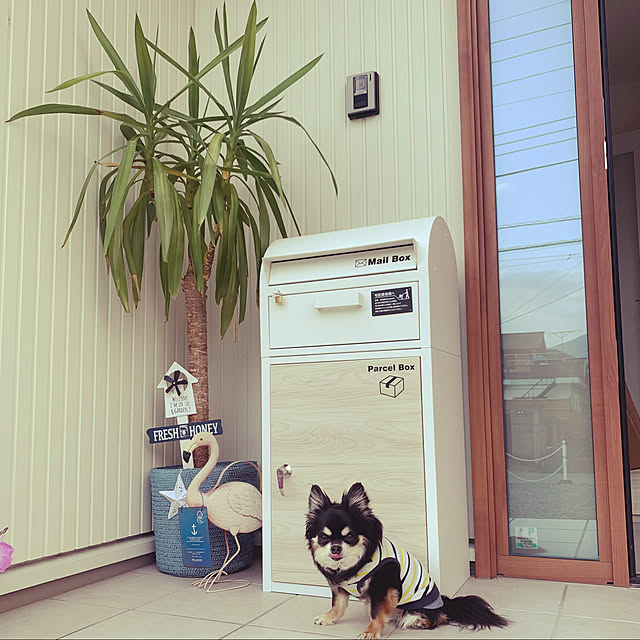 trrさんの実例写真