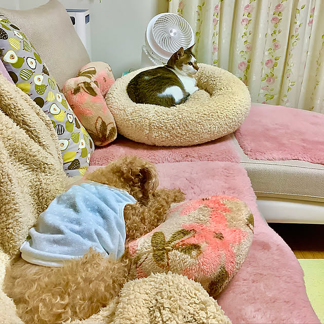 haruminさんの実例写真