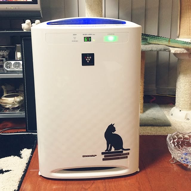 meymeyさんの実例写真