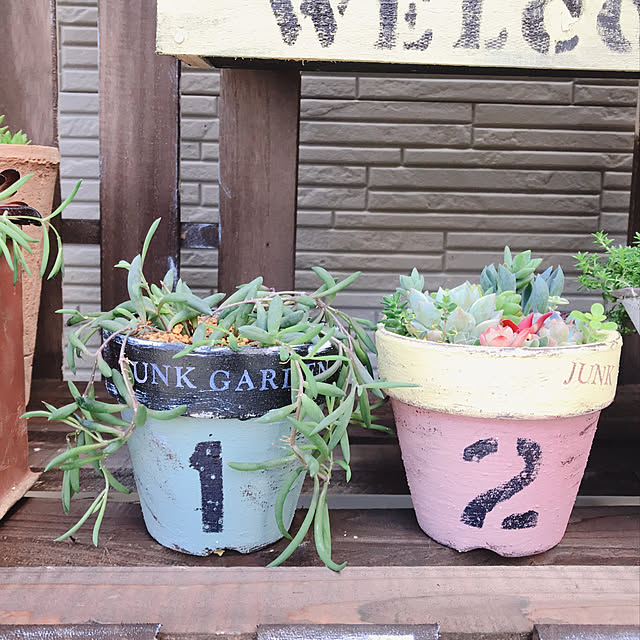 ハンドメイド/多肉植物/部屋全体のインテリア実例 - 2019-03-25 00:26:45