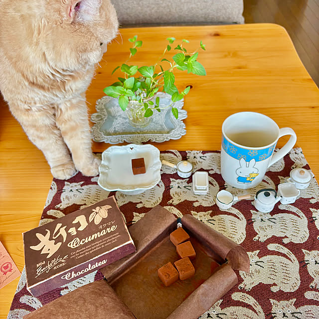 naokoさんの実例写真