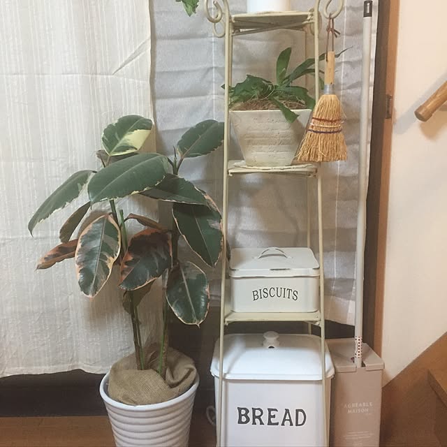 部屋全体/リメ缶/雑貨/観葉植物/北欧...などのインテリア実例 - 2016-06-05 13:10:37