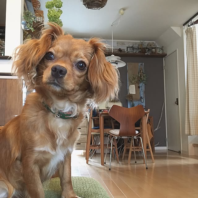 eriさんの実例写真