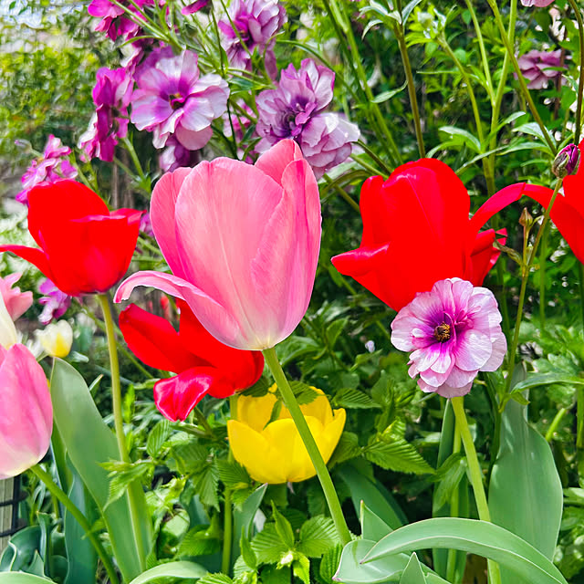 sunabaさんの部屋