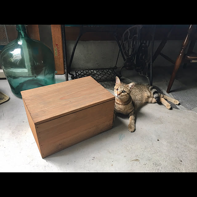 marusanさんの実例写真