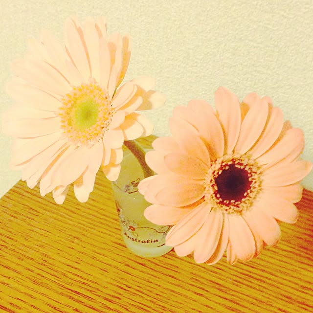 klee_blattさんの実例写真