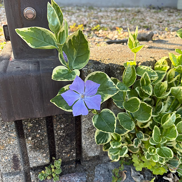 ritsukoさんの部屋