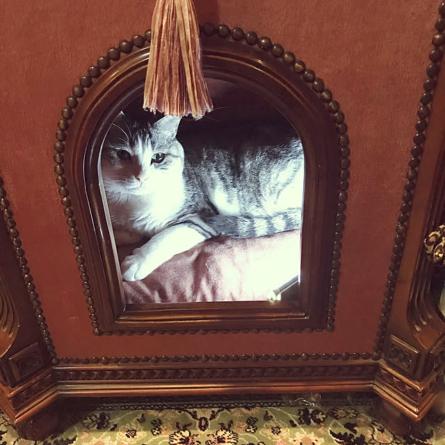 emmyyさんの実例写真