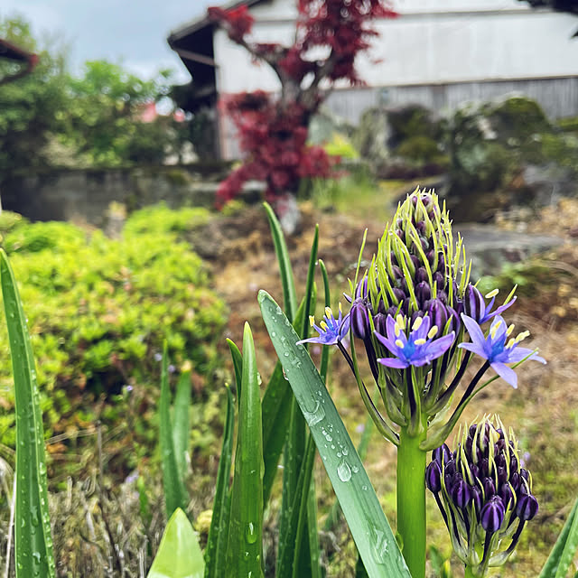 miyamiyaさんの部屋