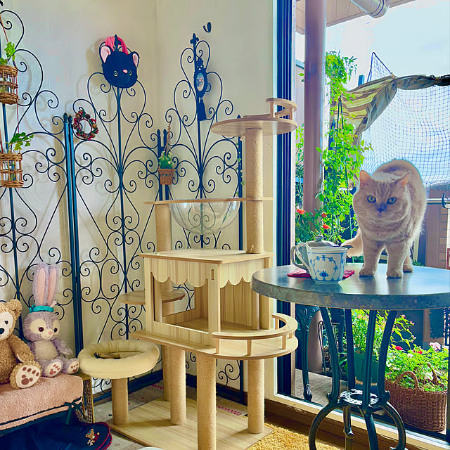 naokoさんの実例写真