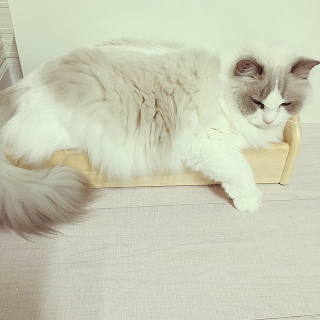 yuchiさんの実例写真