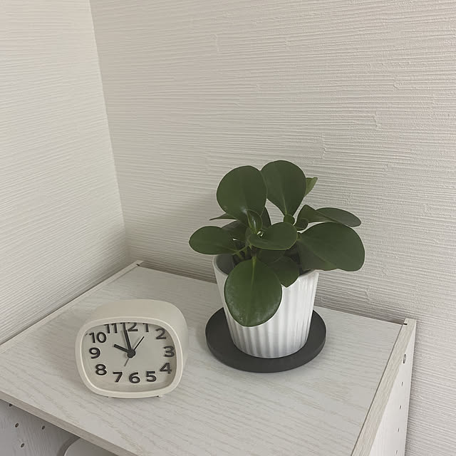 k.o.homeさんの実例写真