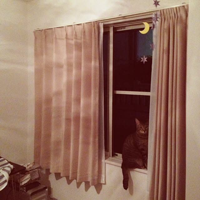 siogiさんの実例写真