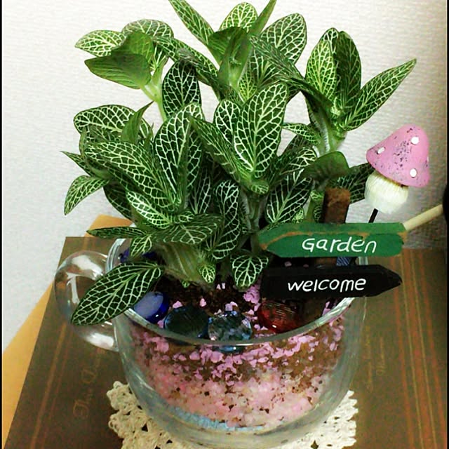 Jeneviveさんの実例写真