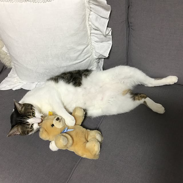 yuchiさんの実例写真