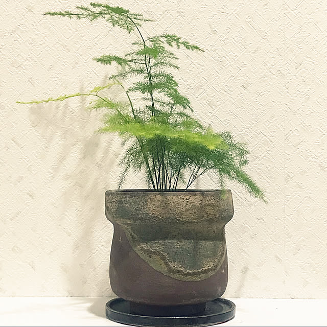fuyiqian1026さんの実例写真
