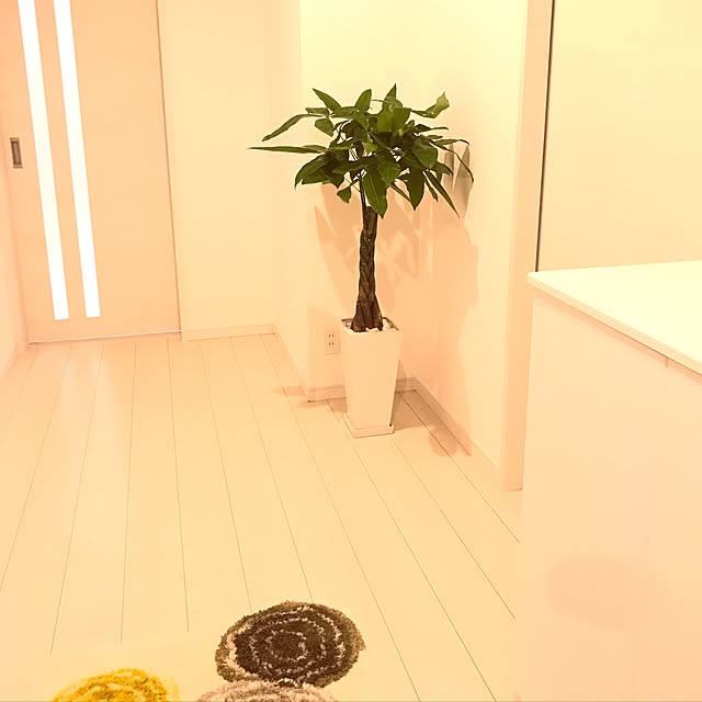 hkae310さんの実例写真