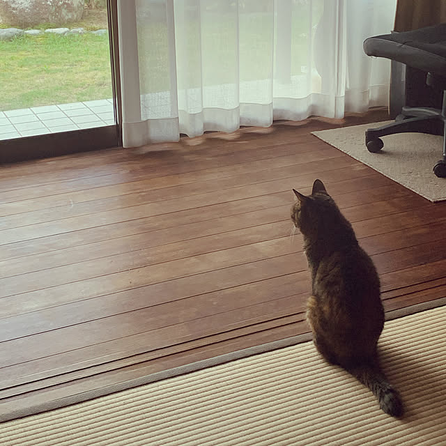 Azukiさんの実例写真