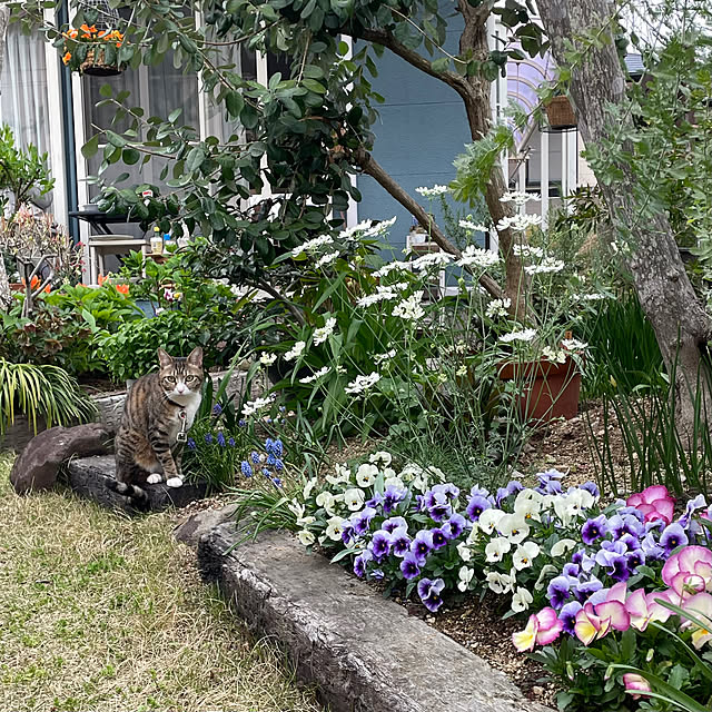 nobikoさんの部屋