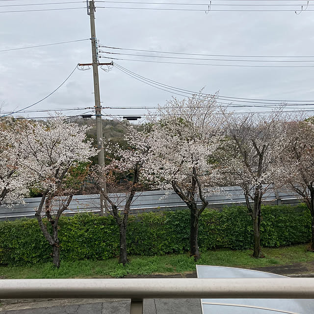 tokoさんの部屋