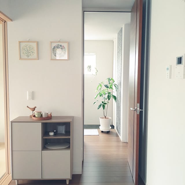 実例写真