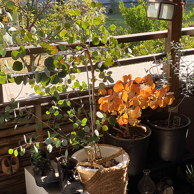 kan2さんの実例写真