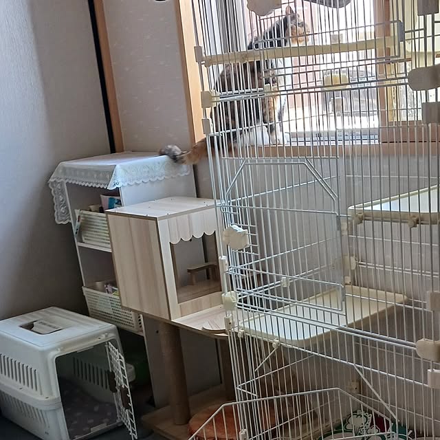aiさんの部屋