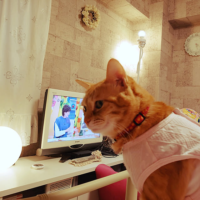 asuminさんの実例写真