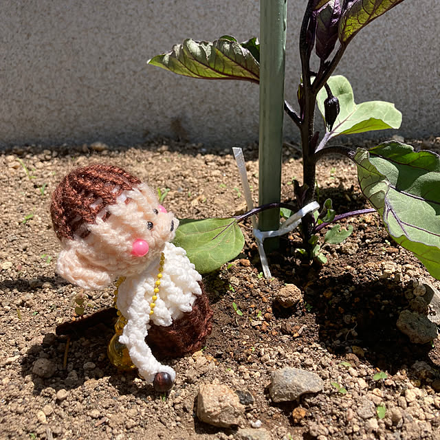 manduonmaさんの実例写真