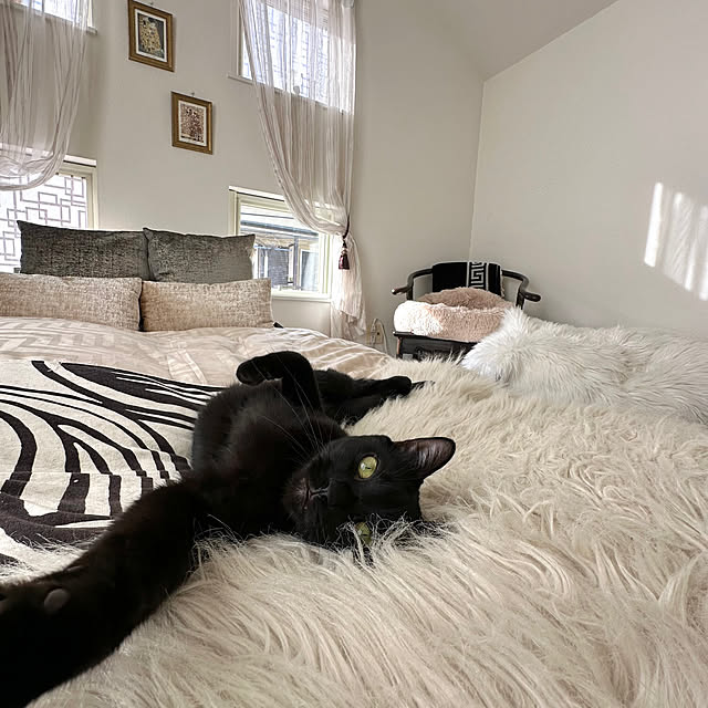 mi-miさんの部屋