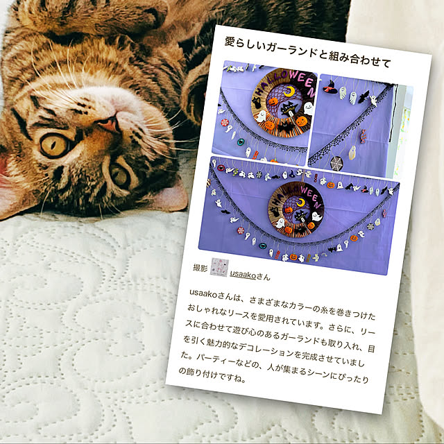 実例写真
