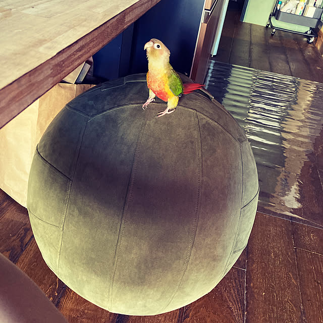 s.p.sunaoさんの実例写真