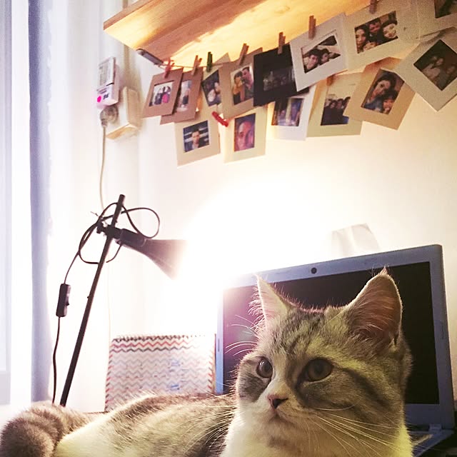 pariさんの実例写真