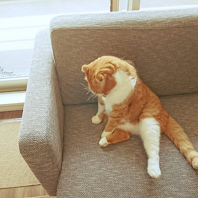 Sachiさんの実例写真