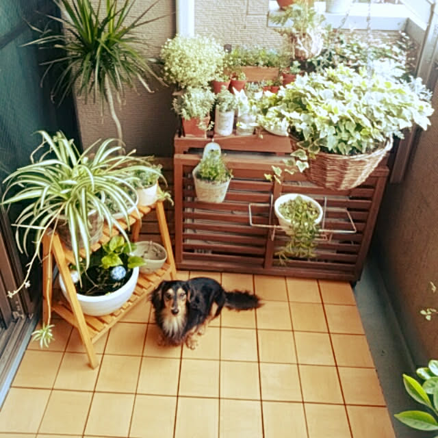reonさんの実例写真