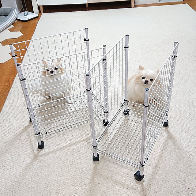 macoさんの実例写真
