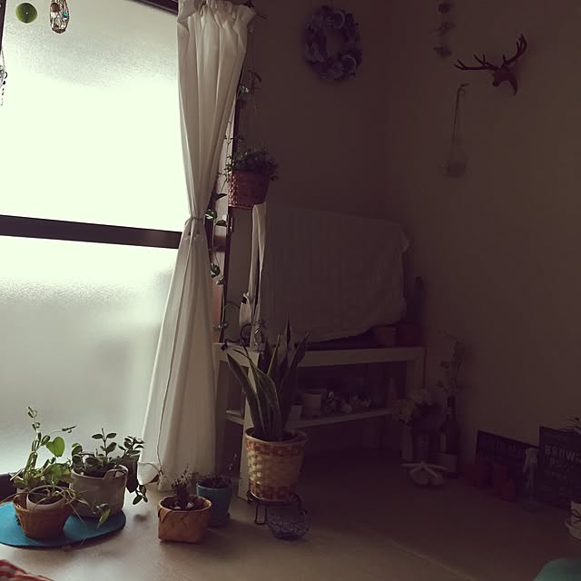 Hanaeさんの実例写真