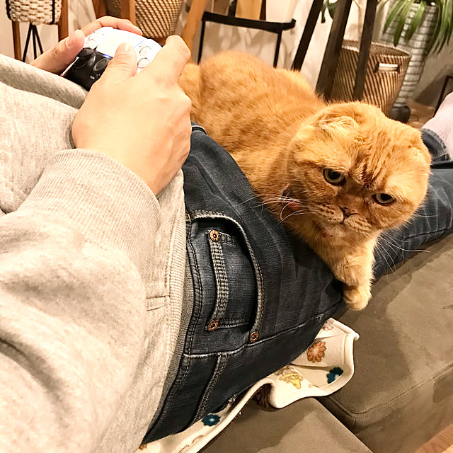 hm_myhomeさんの実例写真