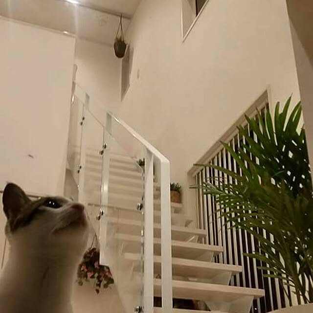 runayucoさんの実例写真