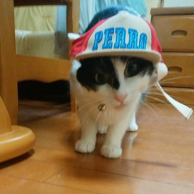 yum0408さんの実例写真