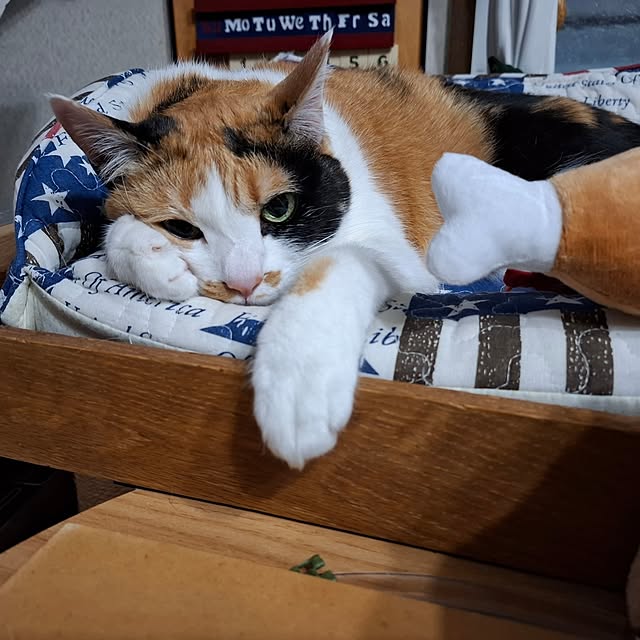 nanaさんの部屋