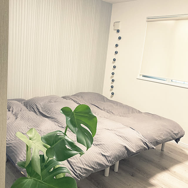 トイレに起きてる訳では無い！/グレーインテリア/観葉植物/わんこと暮らす家。/平屋暮らし...などのインテリア実例 - 2022-08-30 11:32:43