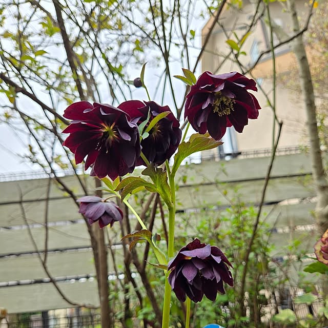 min_nimさんの部屋