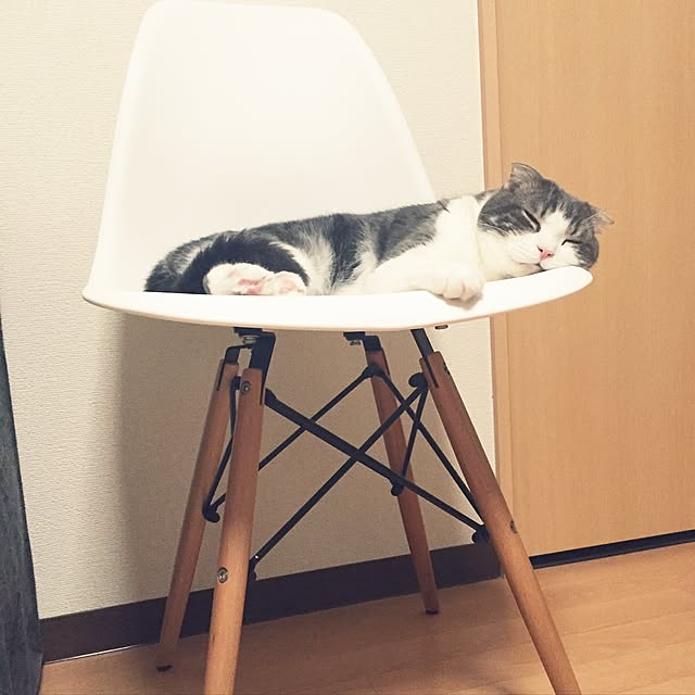 tansukeさんの実例写真