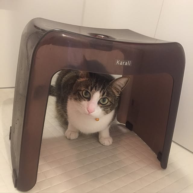 miruさんの実例写真