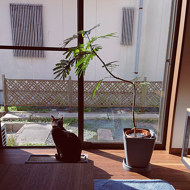 taka-kiさんの実例写真