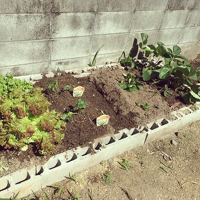 potato07さんの実例写真